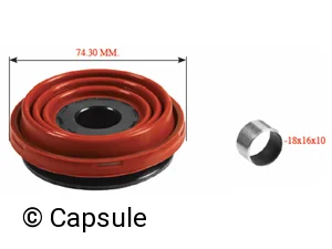 CALIPER REPAIR KIT