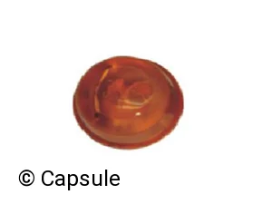 TURN SIGNAL LAMP - 101264