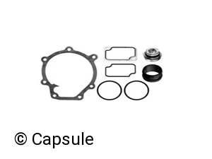 REPAIR KIT (WATER PUMP) - 101603