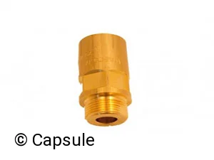 SAFETY VALVE - 101771
