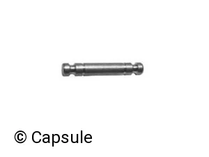 SPRING LOCK PIM - 101880