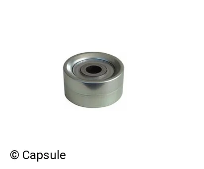 TIGHTENER PULLEY - 101903