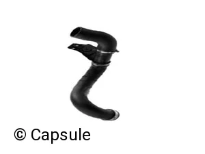 CHARGE AIR HOSE - 102051