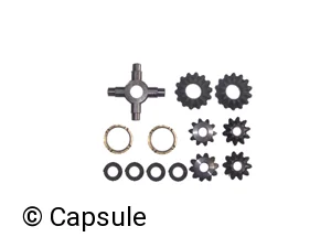 DIFFERENTIAL REPAIR KIT / BUSHING TYPE - 102104