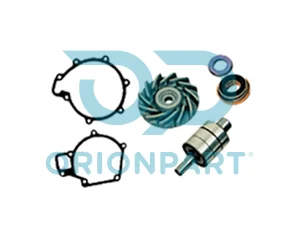 REPAIR KIT (WATER PUMP) - 201273