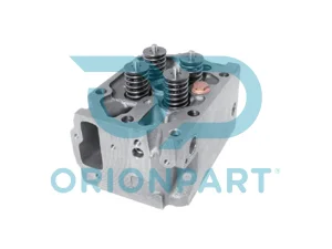 CYLINDER HEAD, WITH VALVES - 202405