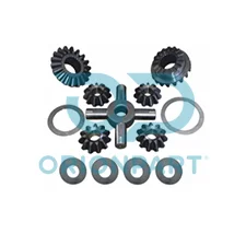 DIFFERENTIAL REPAIR KIT - 401494