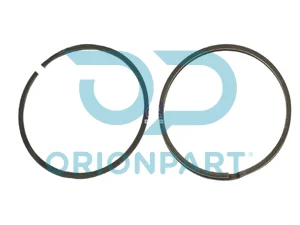 SEAL RING KIT BIG - 401530