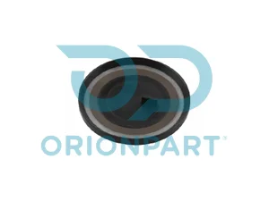 CALIPER SEAL