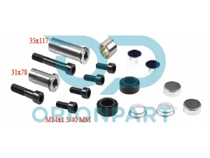 CALIPER DUST RUBBER AND PIN SET - 10.30181