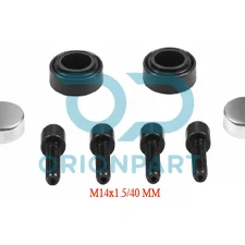 CALIPER DUST RUBBER AND BOLT SET