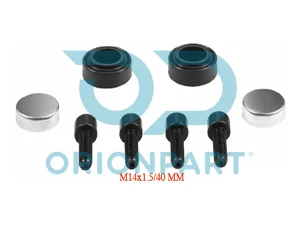 CALIPER DUST RUBBER AND BOLT SET - 10.30185