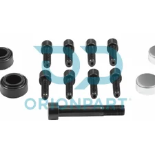 CALIPER DUST RUBBER AND BOLT SET