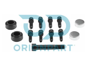 CALIPER DUST RUBBER AND BOLT SET - 10.30187