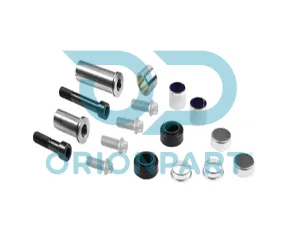 CALIPER DUST RUBBER AND PIN SET - 10.30194