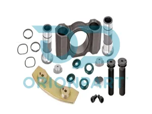 CALIPER SHAFT HOUSING SET -R - 10.30239
