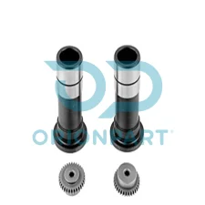 CALIPER TAPPET SET -R