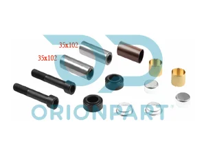 CALIPER DUST RUBBER AND PIN SET - 10.30381