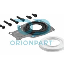 CALIPER CAP & PIN SET