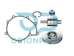 REPAIR KIT (WATER PUMP) - 202766