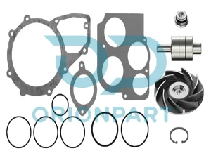 REPAIR KIT (WATER PUMP) - 202767