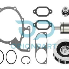 REPAIR KIT (WATER PUMP)
