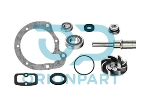 REPAIR KIT (WATER PUMP) - 105291