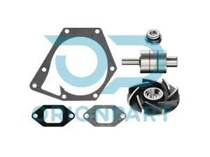 REPAIR KIT (WATER PUMP) - 105292