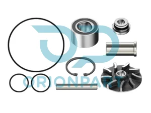 REPAIR KIT (WATER PUMP) - 502139