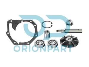 REPAIR KIT (WATER PUMP) - 601610