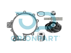 REPAIR KIT (WATER PUMP) - 601615