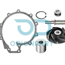 REPAIR KIT (WATER PUMP) - 601617