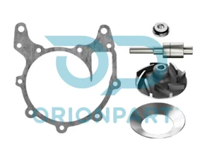 REPAIR KIT (WATER PUMP) - 301900