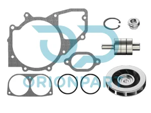 REPAIR KIT (WATER PUMP) - 301903