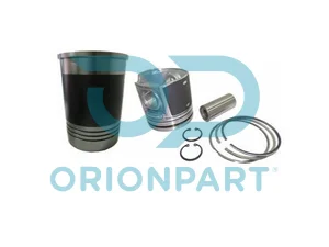 PISTON WITH LINER - 701804