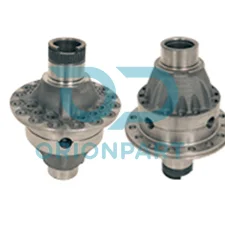 DIFFERENTIAL HOUSING / BUSHING TYPE - 203102