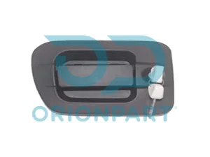 DOOR HANDLE RIGHT - 702243