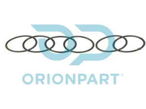 INJECTOR O-RING KIT - 702319