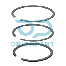 AIR COMPRESSOR RING - 203872