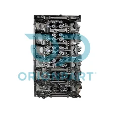 CYLINDER HEAD, WITH VALVES - 602721