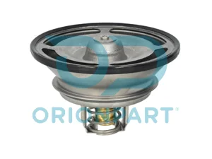 TERMOSTAT - 303269