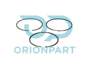 PISTON RING KIT - 602894