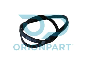 MULTIRIBBED BELT - 204405