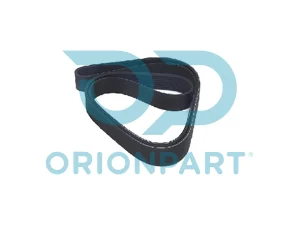 MULTIRIBBED BELT 8PK1795 - 404032