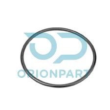 THERMOSTAT O-RING
