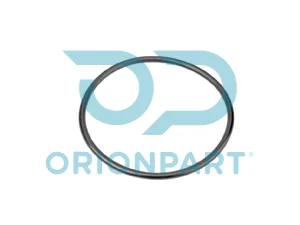 TERMOSTAT ORİNGİ - 303389