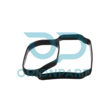 THERMOSTAT GASKET