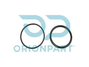 INJECTOR O-RING KIT - 303399