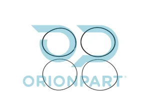 CYLINDER LINER O-RING KIT - 204443
