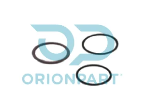 ENJEKTÖR ORİNG TAKIMI - 703106